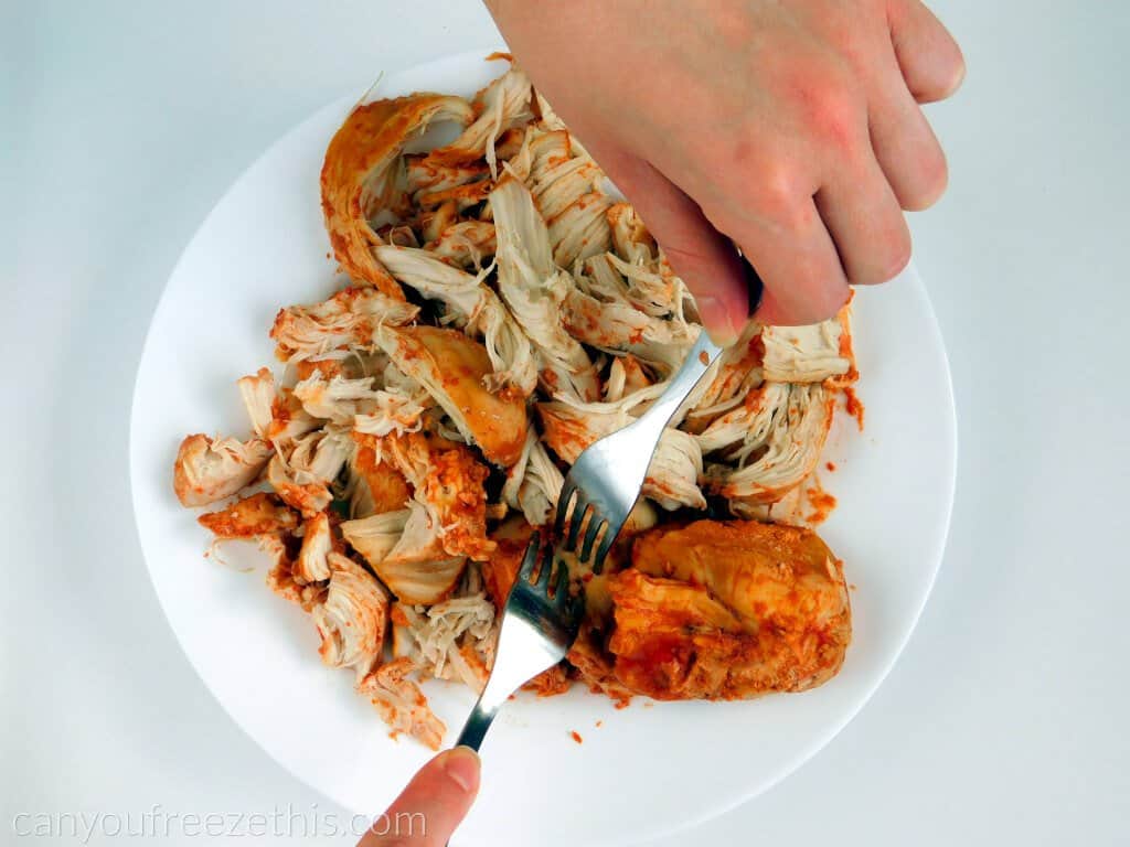 Déchiqueter la poitrine de poulet cuite avec des fourchettes