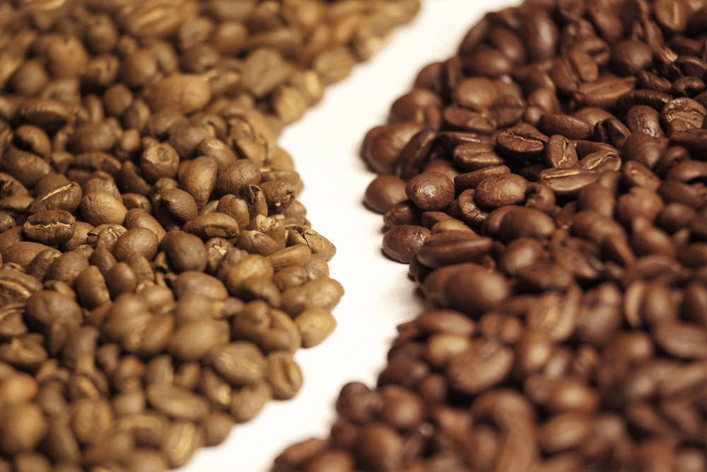 Grains de café arabica et robusta côte à côte