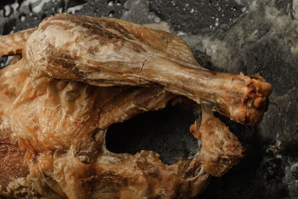 Les dangers de la cuisson du poulet avarié