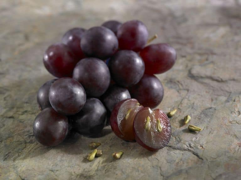 Pépins de raisin et raisin sur la table