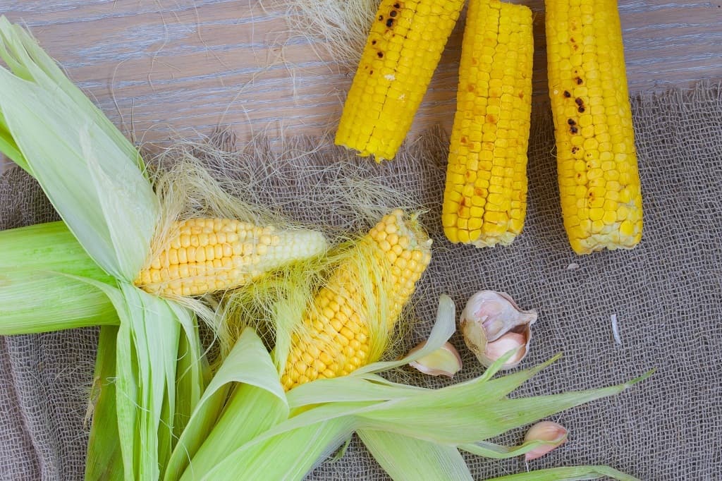 Qu'est-ce que la fibre de maïs soluble ?  C'est bon pour toi?